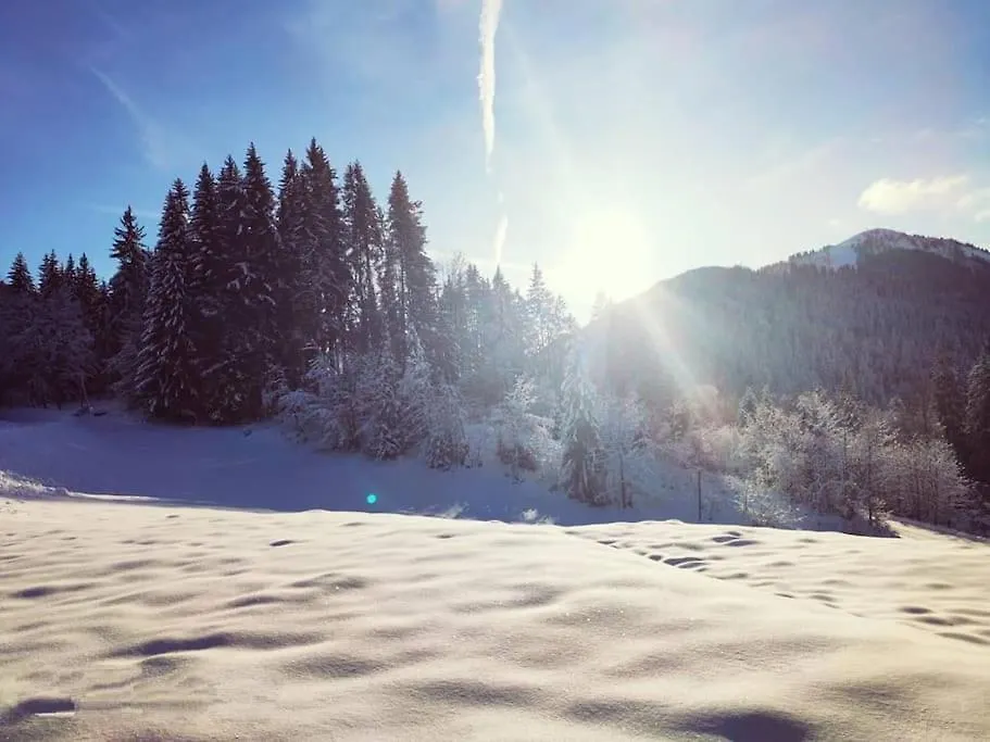 Appartement 2 A 4 Personnes Chalet Le Bolet Morzine