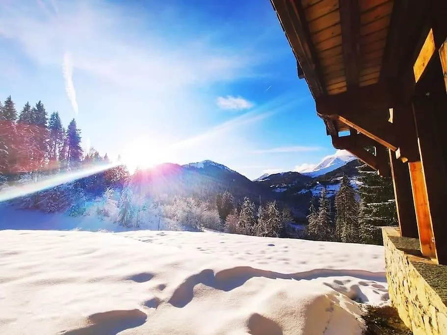Apartment Appartement 2 A 4 Personnes Chalet Le Bolet Morzine